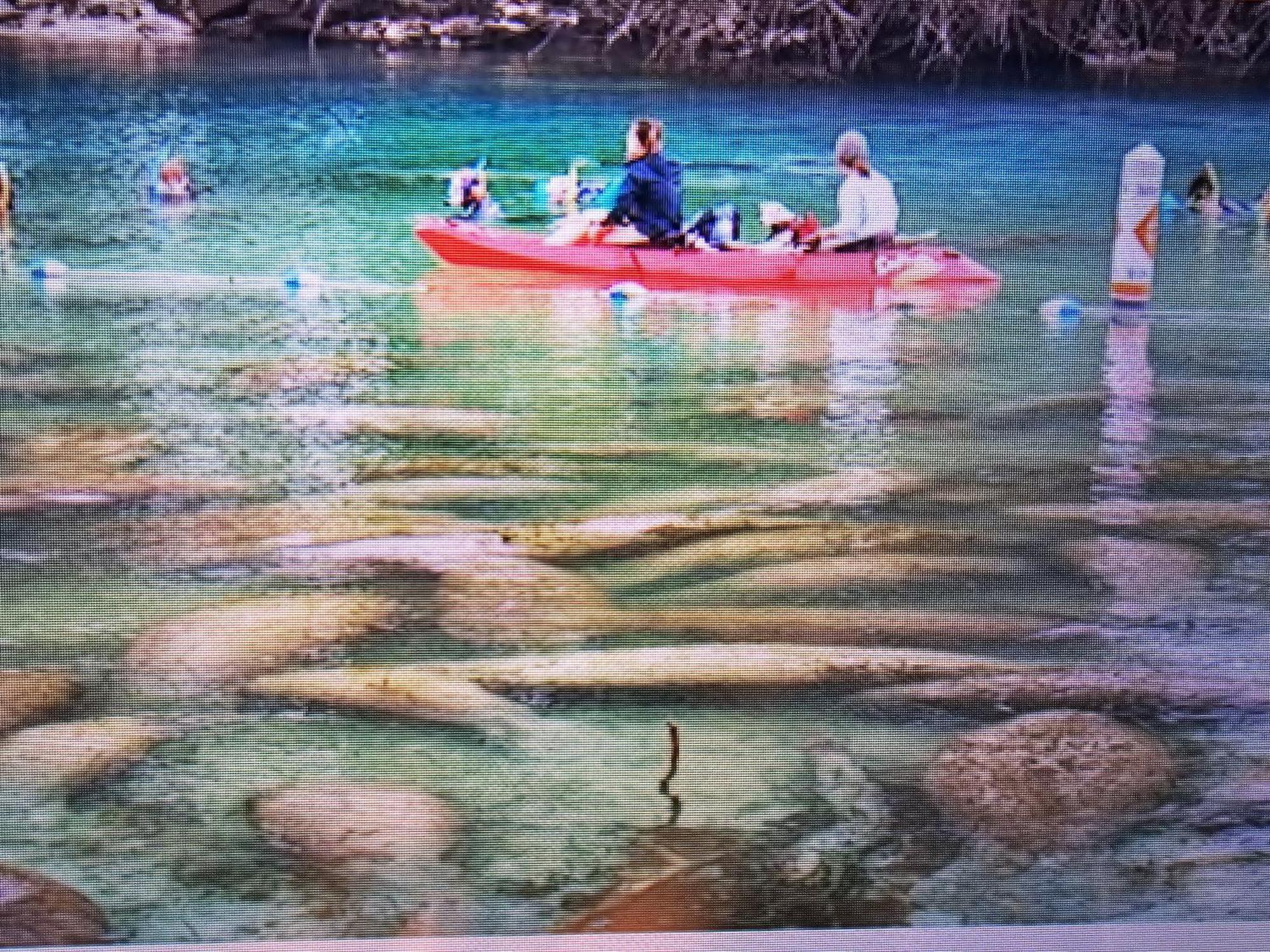 クリスタルリバーManatee Watch Denアパートメント エクステリア 写真